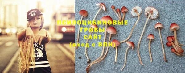 Альфа ПВП Нягань