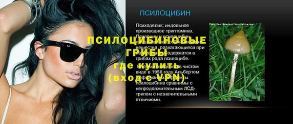 Альфа ПВП Нягань