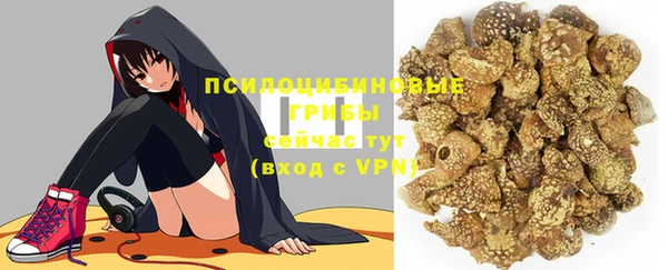Альфа ПВП Нягань
