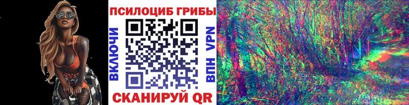 kraken вход  Талдом  Галлюциногенные грибы MAGIC MUSHROOMS 